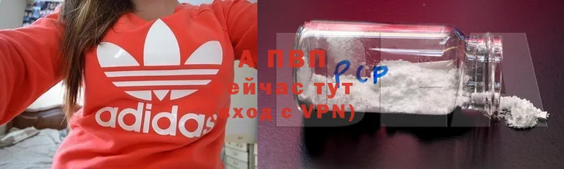 Alpha PVP СК КРИС  omg   Северодвинск 